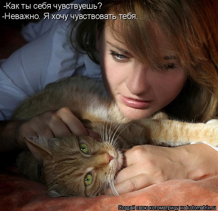 Котоматрица: -Как ты себя чувствуешь? -Неважно. Я хочу чувствовать тебя.