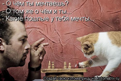 Котоматрица: - О чём ты мечтаешь? - О том же о чём и ты... - Какие пошлые у тебя мечты...