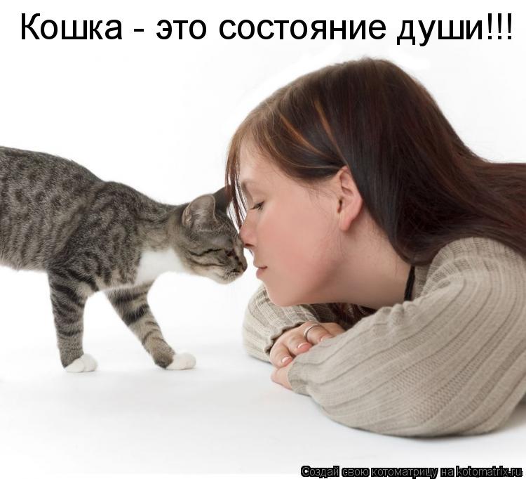 Котоматрица: Кошка - это состояние души!!!