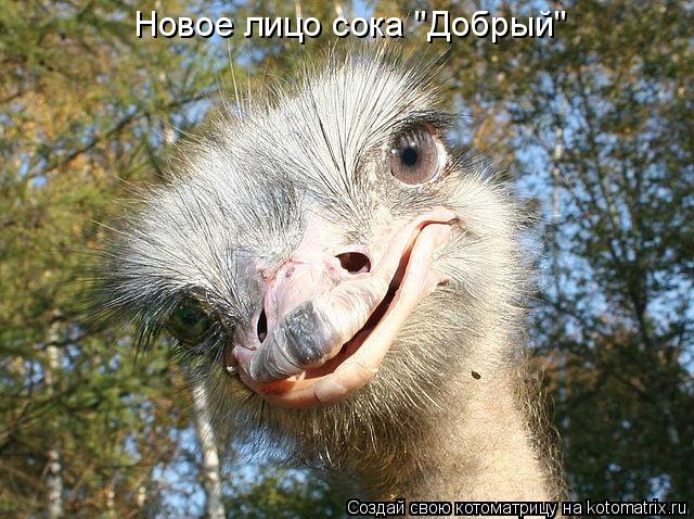 Котоматрица: Новое лицо сока "Добрый"