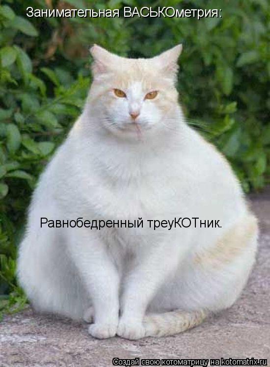 Котоматрица: Занимательная ВАСЬКОметрия: Равнобедренный треуКОТник.