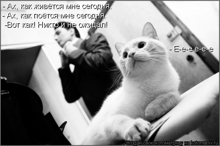 Котоматрица: - Ах, как живётся мне сегодня. - Ах, как поётся мне сегодня. -Вот как! Никто и не ожидал!  - Е-е-е е-е-е