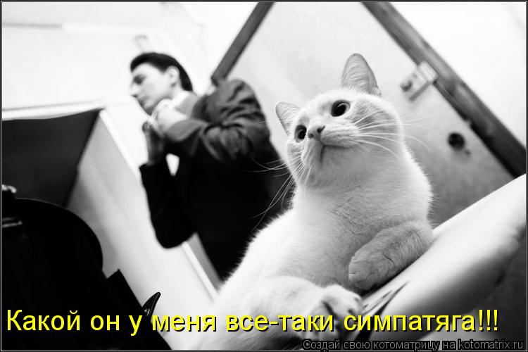 Котоматрица: Какой он у меня все-таки симпатяга!!!