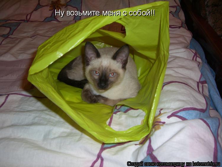 Котоматрица: Ну возьмите меня с собой!!