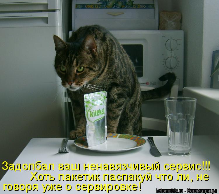 Задолбал ваш ненавязчивый сервис!!! говоря уже о сервировке! Хоть пакетик паспакуй что ли, не... Котоматрица: Задолбал ваш ненавязчивый сервис!!! говоря уже о сервировке! Хоть пакетик паспакуй что ли, не