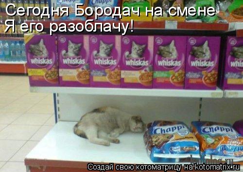 Сегодня Бородач на смене Я его разоблачу!... Котоматрица: Сегодня Бородач на смене Я его разоблачу!