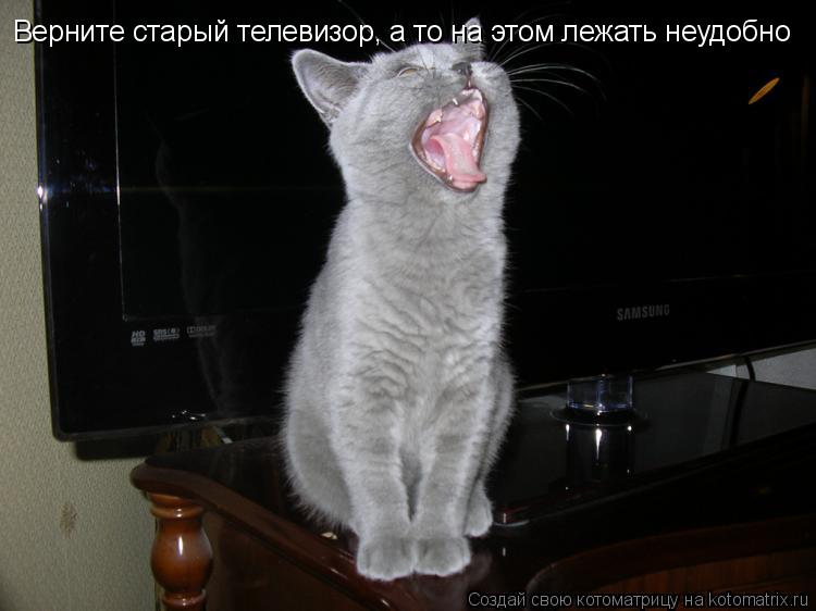 Котоматрица: Верните старый телевизор, а то на этом лежать неудобно
