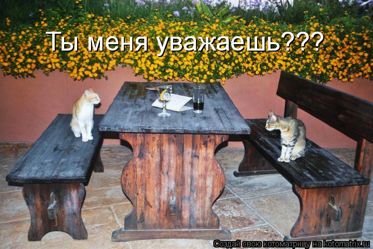 Котоматрица: Ты меня уважаешь??? Ты меня уважаешь???
