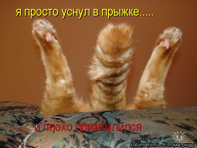 Котоматрица: я просто уснул в прыжке..... и плохо приземлился