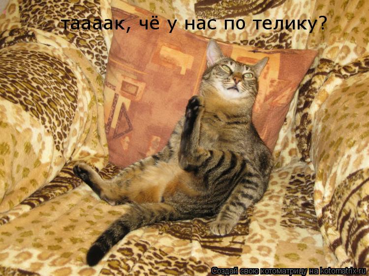 Котоматрица: таааак, чё у нас по телику?
