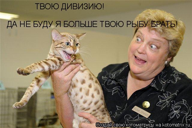 Котоматрица: ДА НЕ БУДУ Я БОЛЬШЕ ТВОЮ РЫБУ БРАТЬ! ТВОЮ ДИВИЗИЮ!