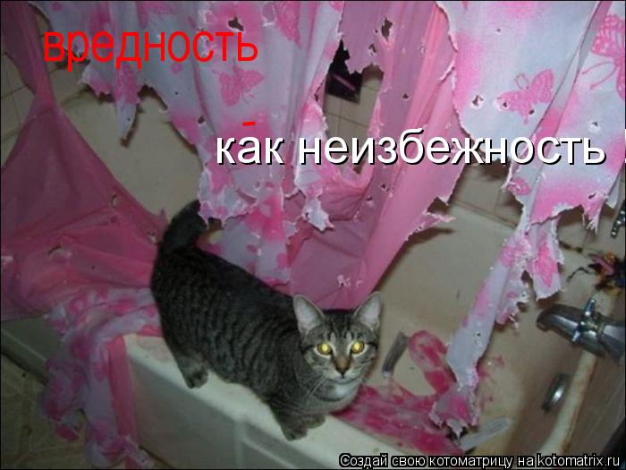 Котоматрица: вредность - как неизбежность !!!