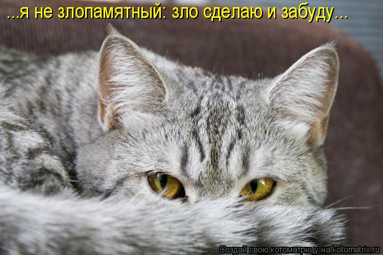 Котоматрица: ...я не злопамятный: зло сделаю и забуду...
