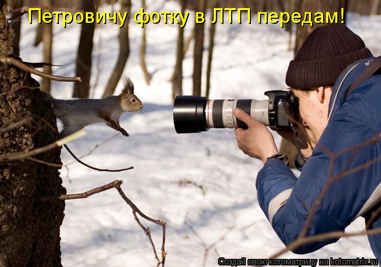 Котоматрица: Петровичу фотку в ЛТП передам!