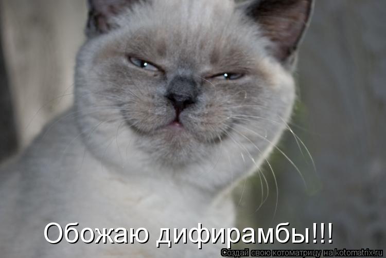 Котоматрица: Обожаю дифирамбы!!!