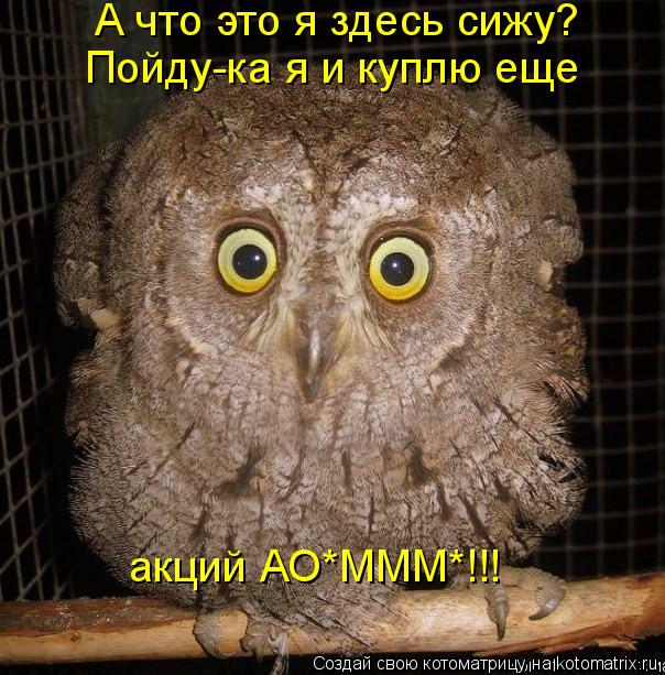 Котоматрица: А что это я здесь сижу? акций АО*МММ*!!! Пойду-ка я и куплю еще