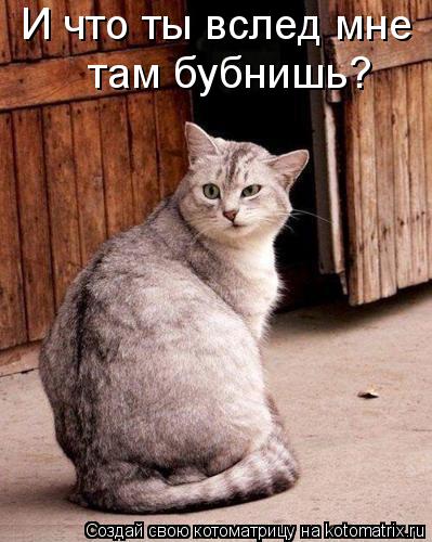 Котоматрица: И что ты вслед мне  там бубнишь?