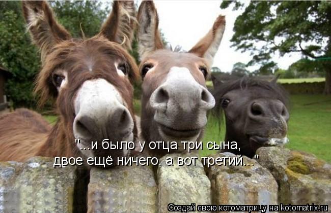 Котоматрица: "...и было у отца три сына,  двое ещё ничего, а вот третий..."