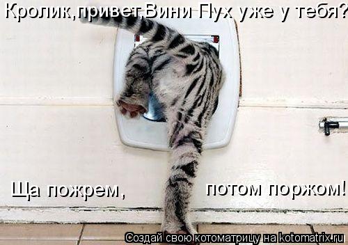 Котоматрица: Кролик,привет,Вини Пух уже у тебя? Ща пожрем,  потом поржом!!!