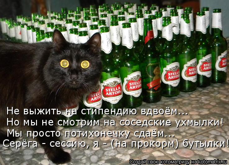 Не выжить на стипендию вдвоём….. Но мы не смотрим на соседские ухмылки! Мы просто потихонечку сдаём….... Котоматрица: Не выжить на стипендию вдвоём….. Но мы не смотрим на соседские ухмылки! Мы просто потихонечку сдаём….. Серёга - сессию, я - (на прокорм) бутылк
