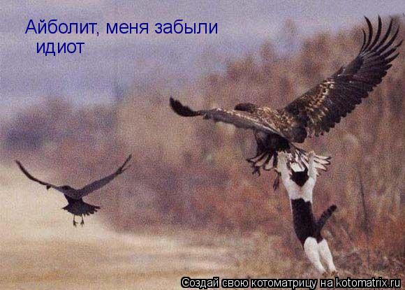 Айболит, меня забыли идиот... Котоматрица: Айболит, меня забыли идиот