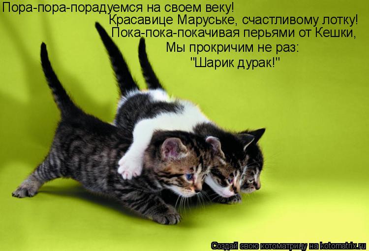 Котоматрица: Пора-пора-порадуемся на своем веку! Пока-пока-покачивая перьями от Кешки, Мы прокричим не раз: Красавице Маруське, счастливому лотку! "Шарик 
