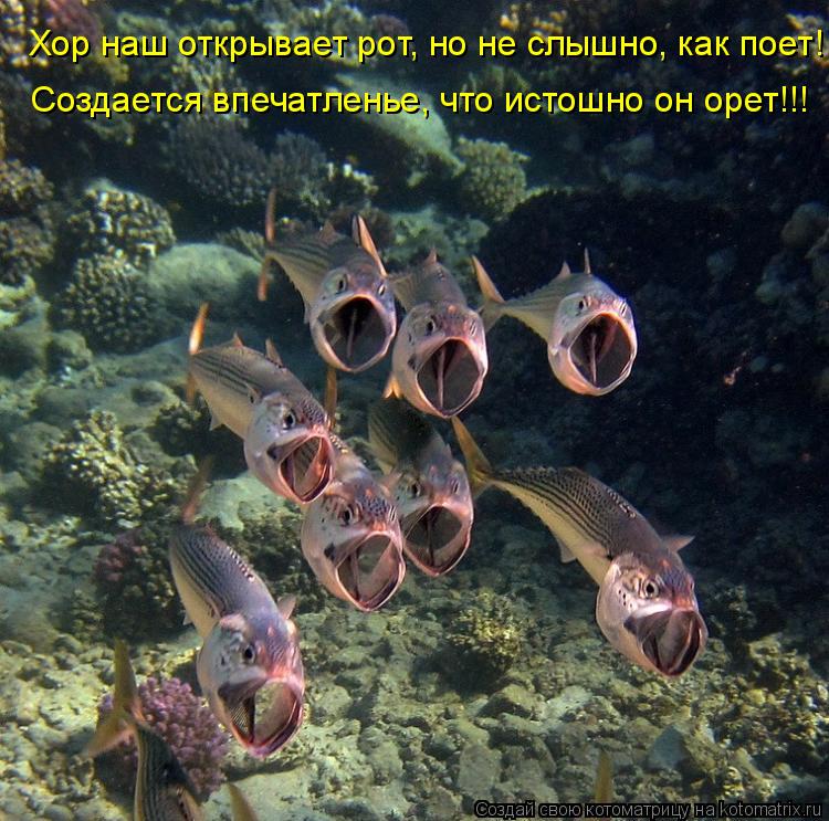 Котоматрица: Создается впечатленье, что истошно он орет!!! Хор наш открывает рот, но не слышно, как поет!