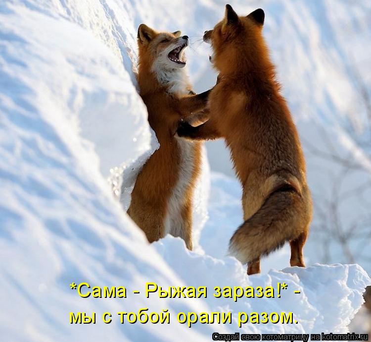 Котоматрица: *Сама - Рыжая зараза!* -  мы с тобой орали разом.
