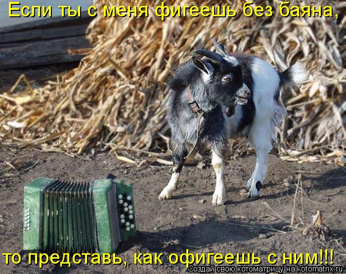 Котоматрица: Если ты с меня фигеешь без баяна, то представь, как офигеешь с ним!!!