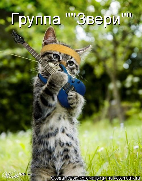 Котоматрица: Группа ""Звери""