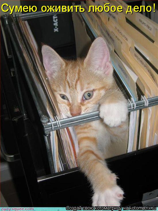 Котоматрица: Сумею оживить любое дело!