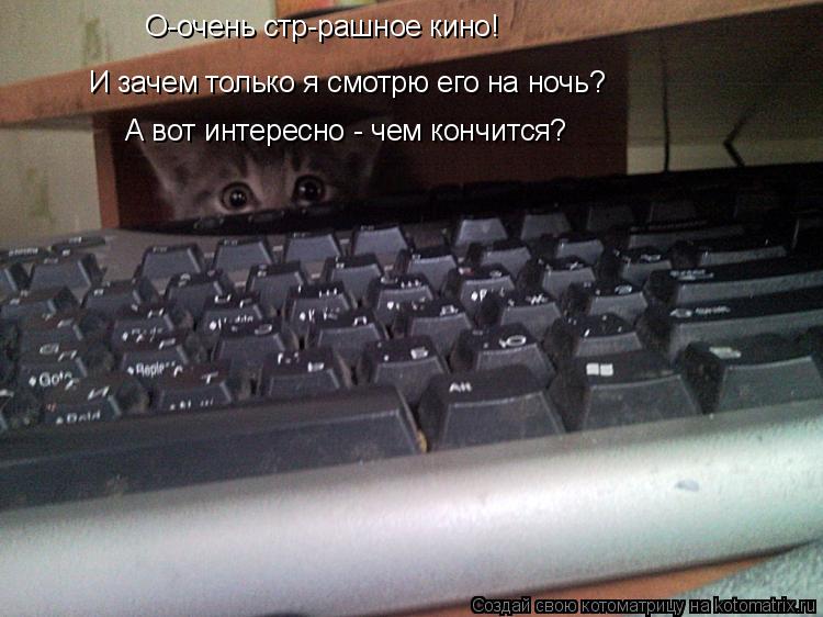 Котоматрица: О-очень стр-рашное кино! И зачем только я смотрю его на ночь? А вот интересно - чем кончится?