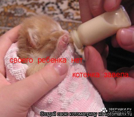Котоматрица: своего  ребенка  нет котенка  завела.