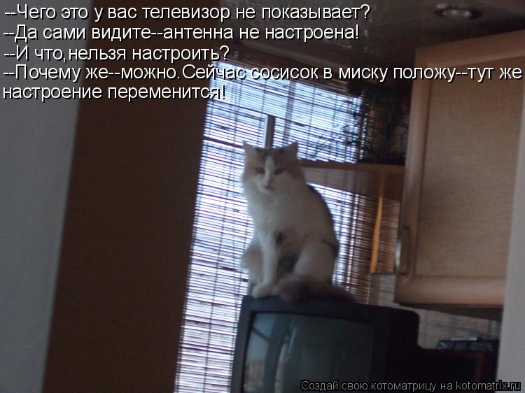 Котоматрица: --Чего это у вас телевизор не показывает? --Да сами видите--антенна не настроена! --И что,нельзя настроить? --Почему же--можно.Сейчас сосисок в м