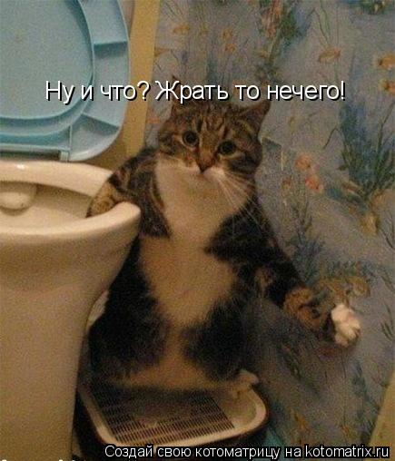 Котоматрица: Ну и что? Жрать то нечего!