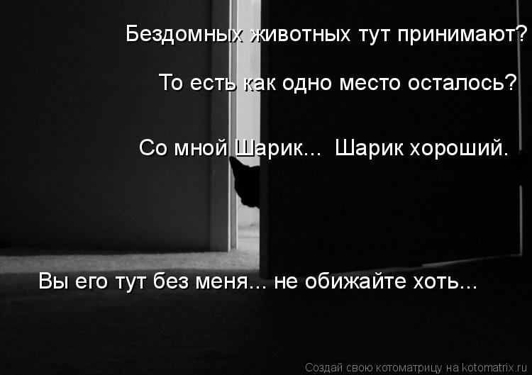 Бездомных животных тут принимают? То есть как одно место осталось? Со мной Шарик... Шарик хороший. ... Котоматрица: Бездомных животных тут принимают? То есть как одно место осталось? Со мной Шарик... Шарик хороший. Вы его тут без меня... не обижайте хоть...