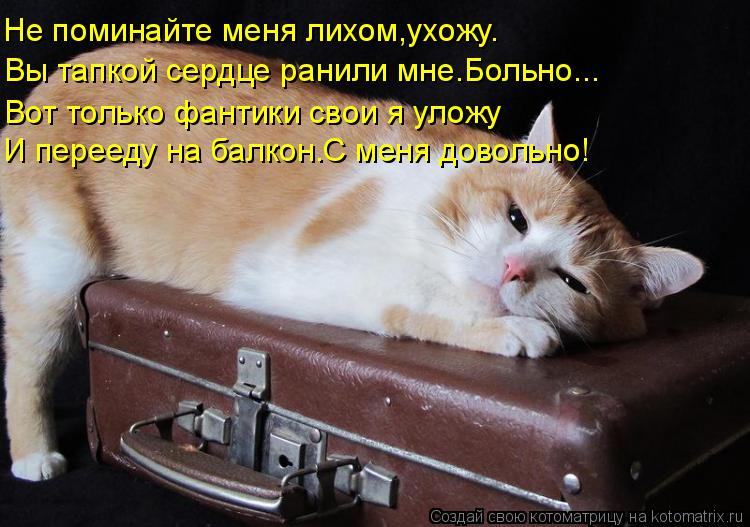 Вы тапкой сердце ранили мне.Больно... Не поминайте меня лихом,ухожу. Вот только фантики свои я уложу ... Котоматрица: Вы тапкой сердце ранили мне.Больно... Не поминайте меня лихом,ухожу. Вот только фантики свои я уложу И перееду на балкон.С меня довольно!