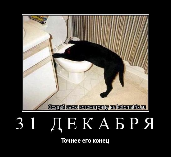 Котоматрица: 31 декабря Точнее его конец