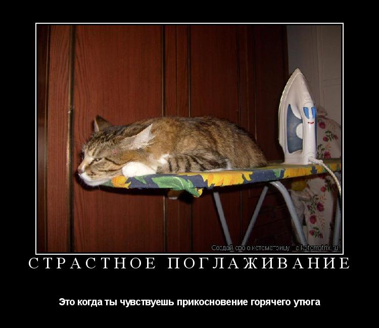 Котоматрица: Страстное поглаживание Это когда ты чувствуешь прикосновение горячего утюга