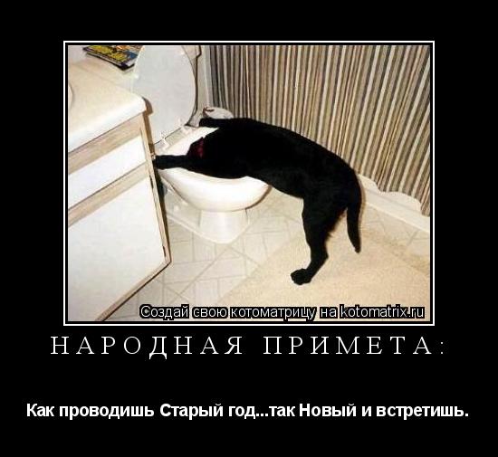 Котоматрица: Народная примета: Как проводишь Старый год...так Новый и встретишь.
