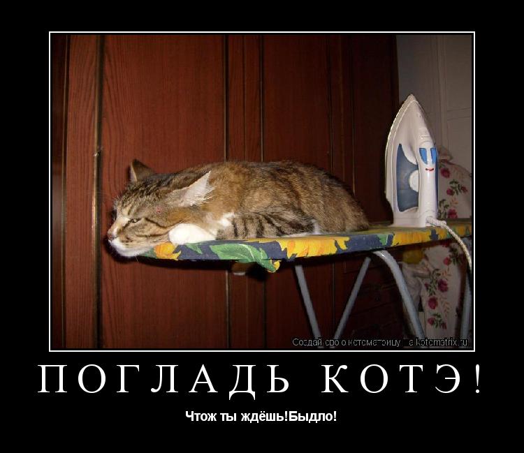 Погладь котэ! Чтож ты ждёшь!Быдло!... Котоматрица: Погладь котэ! Чтож ты ждёшь!Быдло!
