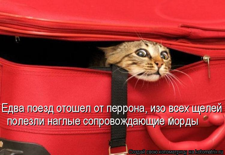 Едва поезд отошел от перрона, изо всех щелей полезли наглые сопровождающие морды... Котоматрица: Едва поезд отошел от перрона, изо всех щелей полезли наглые сопровождающие морды
