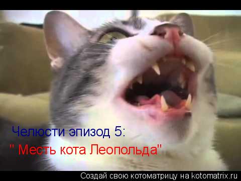 Котоматрица: Челюсти эпизод 5: " Месть кота Леопольда"