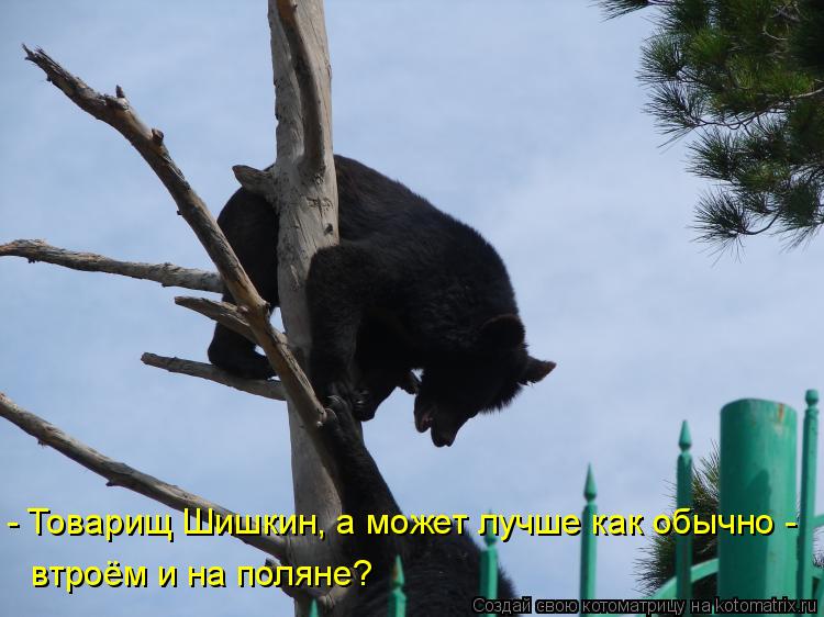 - Товарищ Шишкин, а может лучше как обычно - втроём и на поляне?... Котоматрица: - Товарищ Шишкин, а может лучше как обычно - втроём и на поляне?