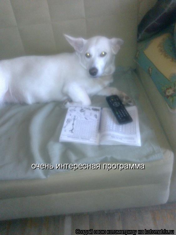 очень интересная программа... Котоматрица: очень интересная программа