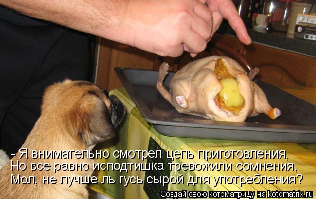 - Я внимательно смотрел цепь приготовления, Но все равно исподтишка тревожили сомнения, Мол, не лучше... Котоматрица: - Я внимательно смотрел цепь приготовления, Но все равно исподтишка тревожили сомнения, Мол, не лучше ль гусь сырой для употребления?