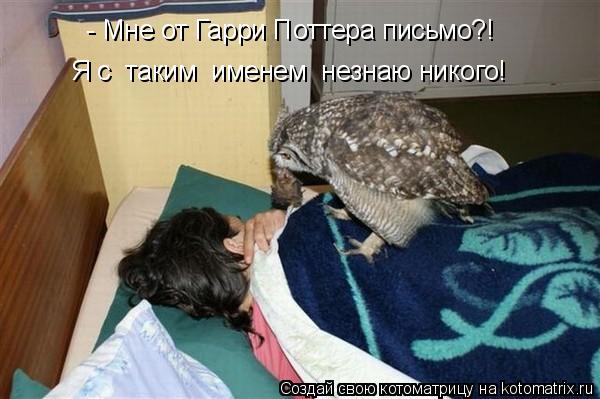 - Мне от Гарри Поттера письмо?! Я с таким именем незнаю никого!... Котоматрица: - Мне от Гарри Поттера письмо?! Я с таким именем незнаю никого!