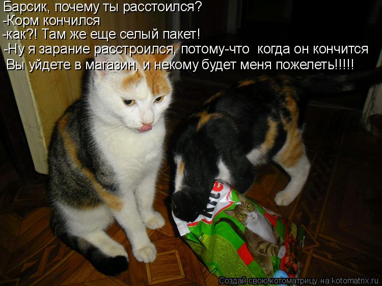 Барсик, почему ты расстоился? -Корм кончился -как?! Там же еще селый пакет! -Ну я зарание расстроился... Котоматрица: Барсик, почему ты расстоился? -Корм кончился -как?! Там же еще селый пакет! -Ну я зарание расстроился, потому-что когда он кончится Вы уйдете в