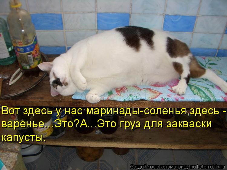 Вот здесь у нас маринады-соленья,здесь - варенье...Это?А...Это груз для закваски капусты.... Котоматрица: Вот здесь у нас маринады-соленья,здесь - варенье...Это?А...Это груз для закваски капусты.