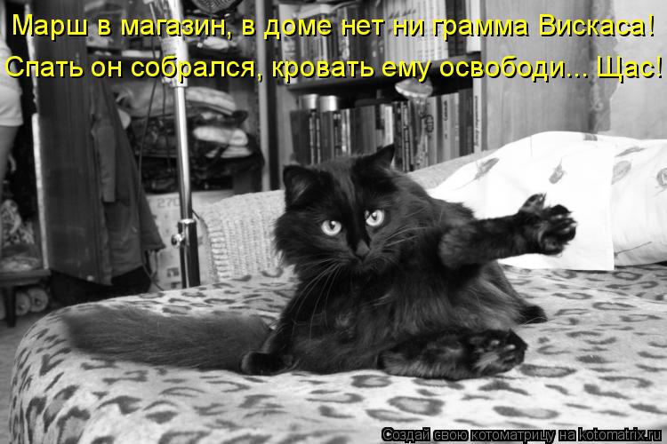Марш в магазин, в доме нет ни грамма Вискаса! Спать он собрался, кровать ему освободи... Щас!... Котоматрица: Марш в магазин, в доме нет ни грамма Вискаса! Спать он собрался, кровать ему освободи... Щас!